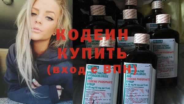 шишки Киренск
