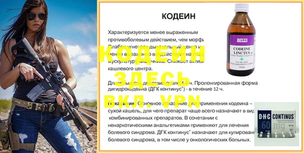 шишки Киренск