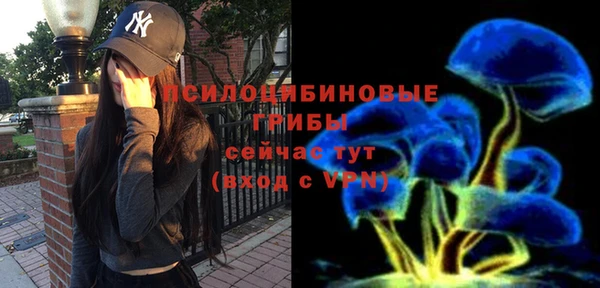 ПСИЛОЦИБИНОВЫЕ ГРИБЫ Кинешма