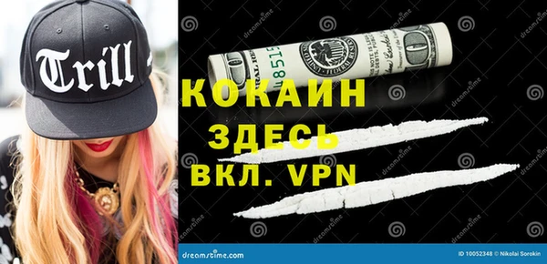 крисы Козельск