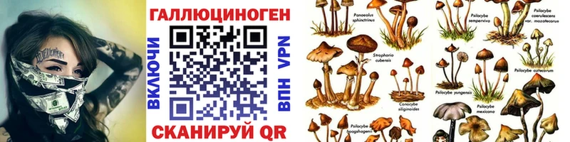Купить где  Жердевка  Галлюциногенные грибы прущие грибы 